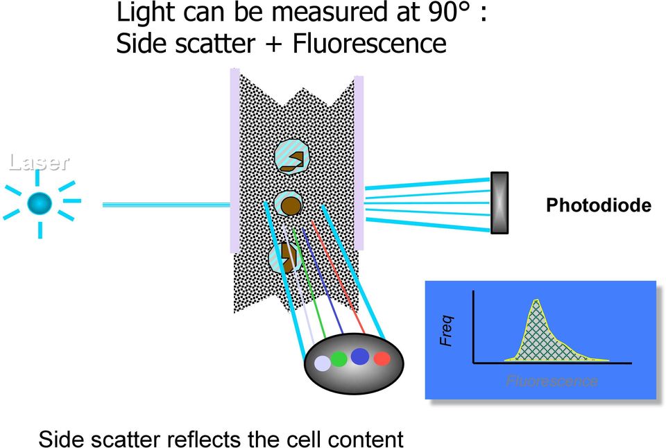 Laser Photodiode Freq