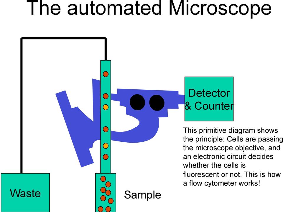 microscope objective, and an electronic circuit decides whether