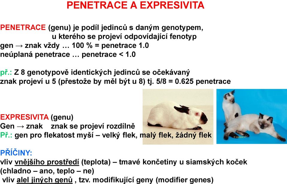 5/8 = 0.625 penetrace EXPRESIVITA (genu) Gen znak znak se projeví rozdílně Př.