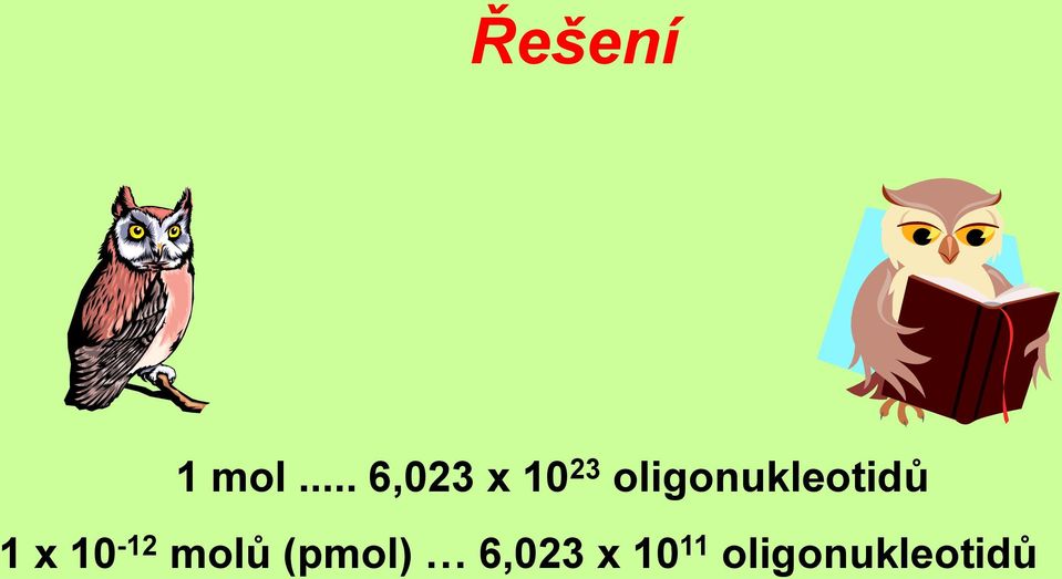 oligonukleotidů 1 x