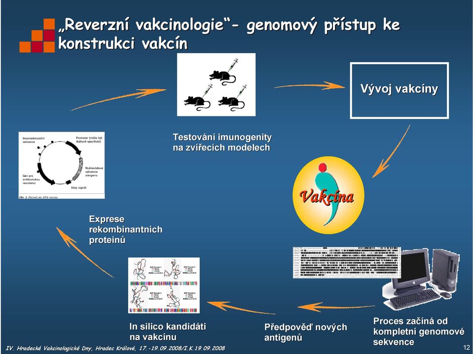 Exprese rekombinantních proteinů Vakcína In silico kandidáti na