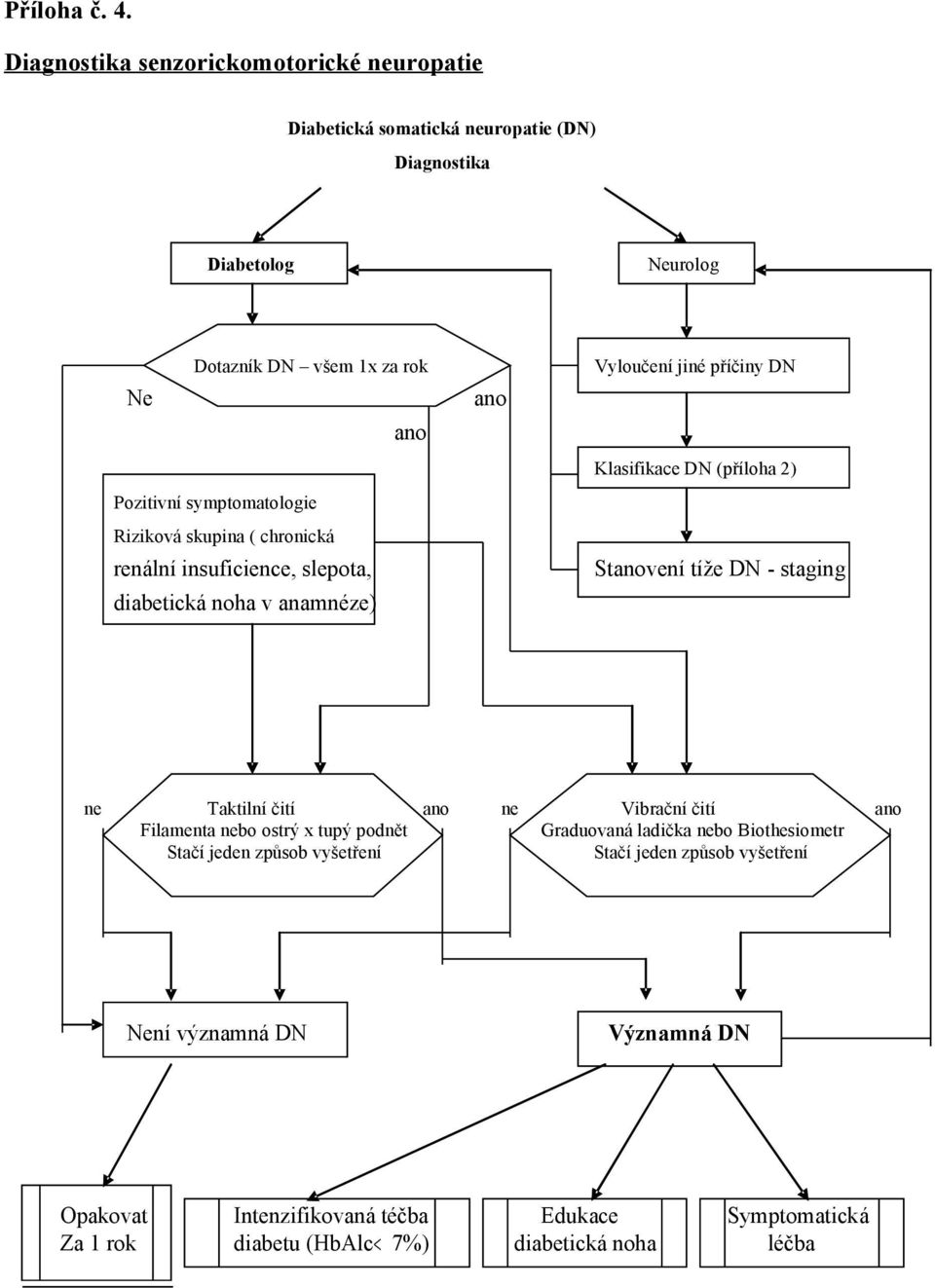 symptomatologie Riziková skupina ( chronická renální insuficience, slepota, diabetická noha v anamnéze) ano Vyloučení jiné příčiny DN Klasifikace DN (příloha 2)