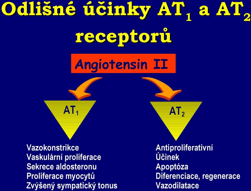 Proliferace myocytů Zvýšený sympatický tonus AT2