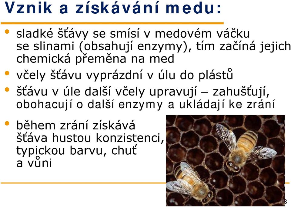 plástů šťávu v úle další včely upravují zahušťují, obohacují o další enzymy a