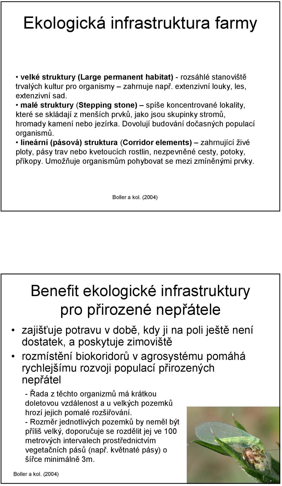 lineární (pásová) struktura (Corridor elements) zahrnující živé ploty, pásy trav nebo kvetoucích rostlin, nezpevněné cesty, potoky, příkopy. Umožňuje organismům pohybovat se mezi zmíněnými prvky.