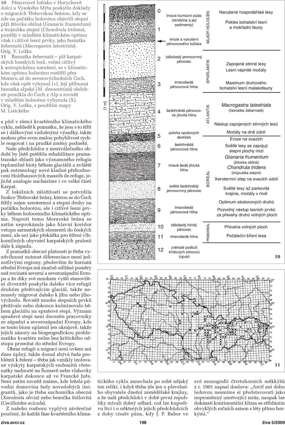 Ložka Řasnatka žebernatá plž karpatských horských lesů, velmi citlivý k antropickému narušení, se v klimatickém optimu holocénu rozšířil přes Moravu až do severovýchodních Čech, kde však opět vyhynul