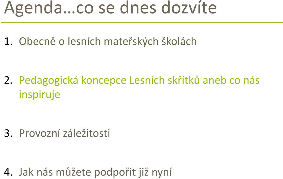 Pedagogická koncepce Lesních skřítků aneb co