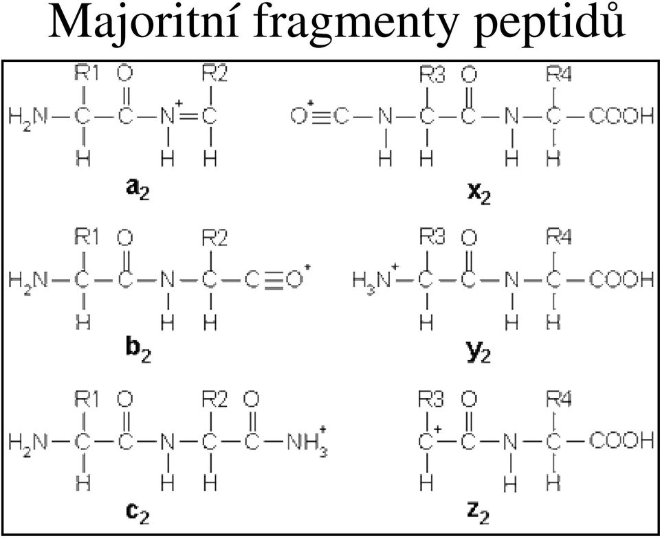 peptid