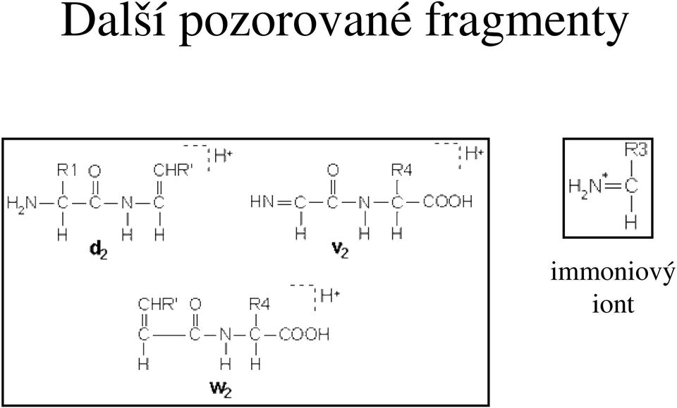 fragmenty