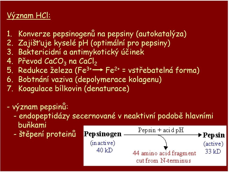 Převod CaCO 3 na CaCl 2 5. Redukce železa (Fe 3+ Fe 2+ = vstřebatelná forma) 6.