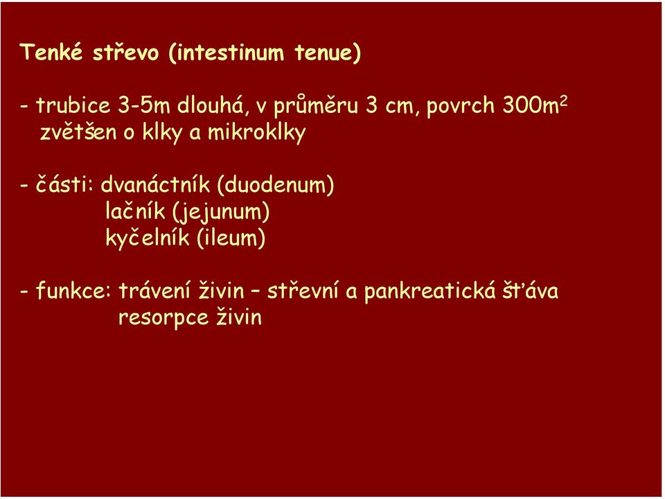 části: dvanáctník (duodenum) lačník (jejunum) kyčelník