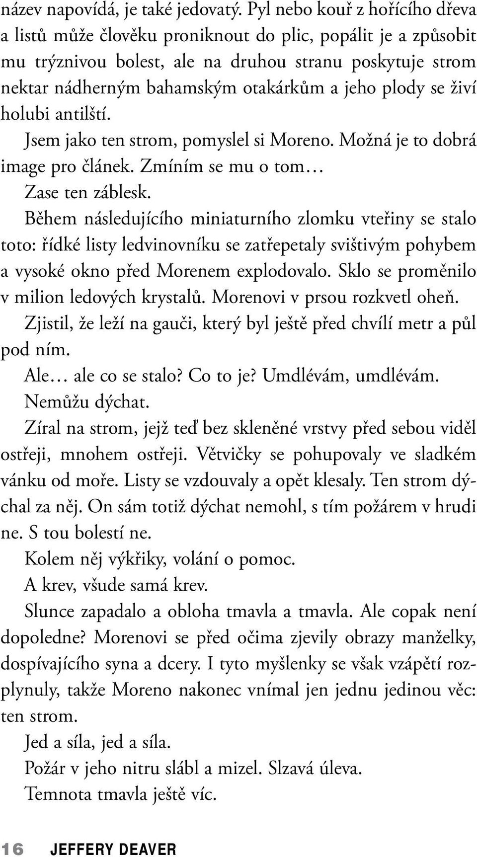 plody se živí holubi antilští. Jsem jako ten strom, pomyslel si Moreno. Možná je to dobrá image pro článek. Zmíním se mu o tom Zase ten záblesk.