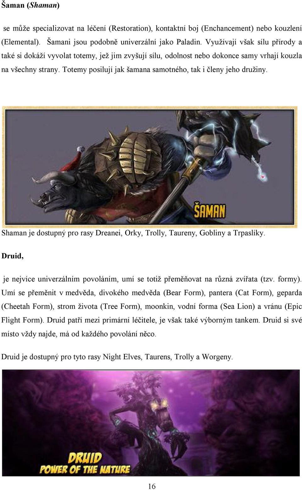 Totemy posilují jak šamana samotného, tak i členy jeho družiny. Shaman je dostupný pro rasy Dreanei, Orky, Trolly, Taureny, Gobliny a Trpaslíky.
