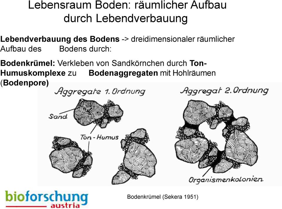 Bodens durch: Bodenkrümel: Verkleben von Sandkörnchen durch