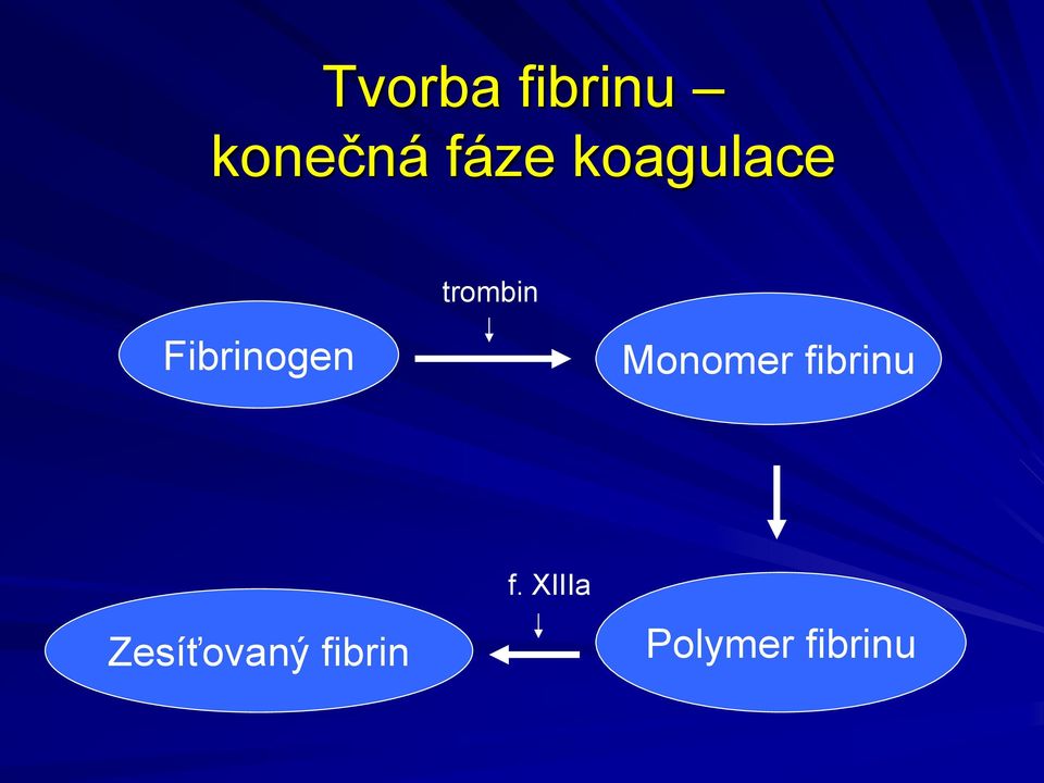 Monomer fibrinu Zesíťovaný