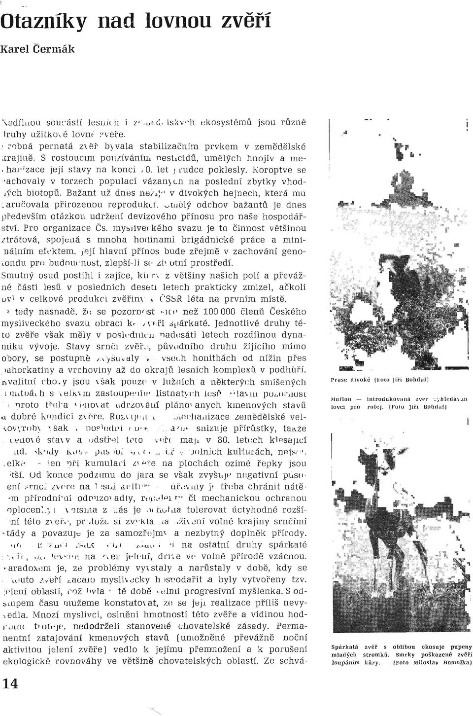 Bažant už dnes nežije v divokých hejnech, která mu z aručovala přirozenou reprodukci. Umělý odchov bažantů je dnes př edevším otázkou udržení devizového přínosu pro naše hospodářství.