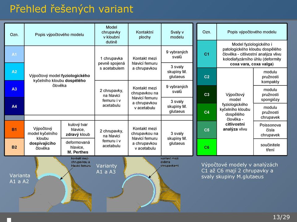 model kyčelního kloubu dospívajícího člověka B2 Model chrupavky v kloubní dutině Varianta A1 a A2 kulový tvar hlavice, zdravý kloub deformovaná hlavice, M.