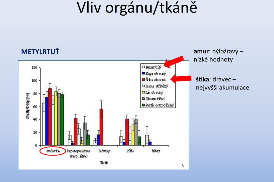 býložravý nízké