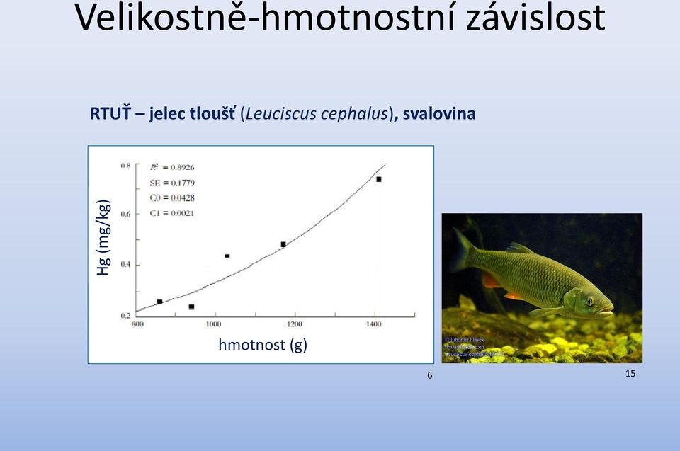 závislost RTUŤ jelec tloušť