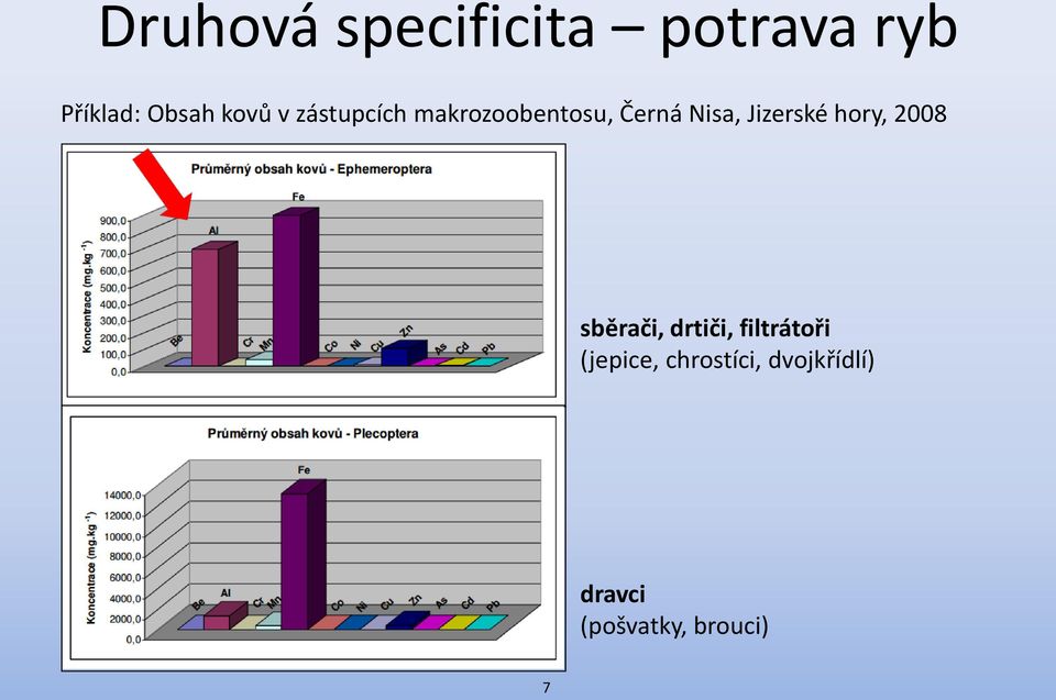 Jizerské hory, 2008 sběrači, drtiči, filtrátoři