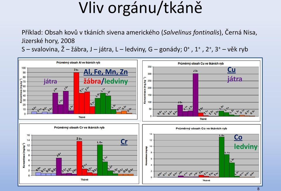 svalovina, Ž žábra, J játra, L ledviny, G gonády; 0 +, 1 +, 2 +,