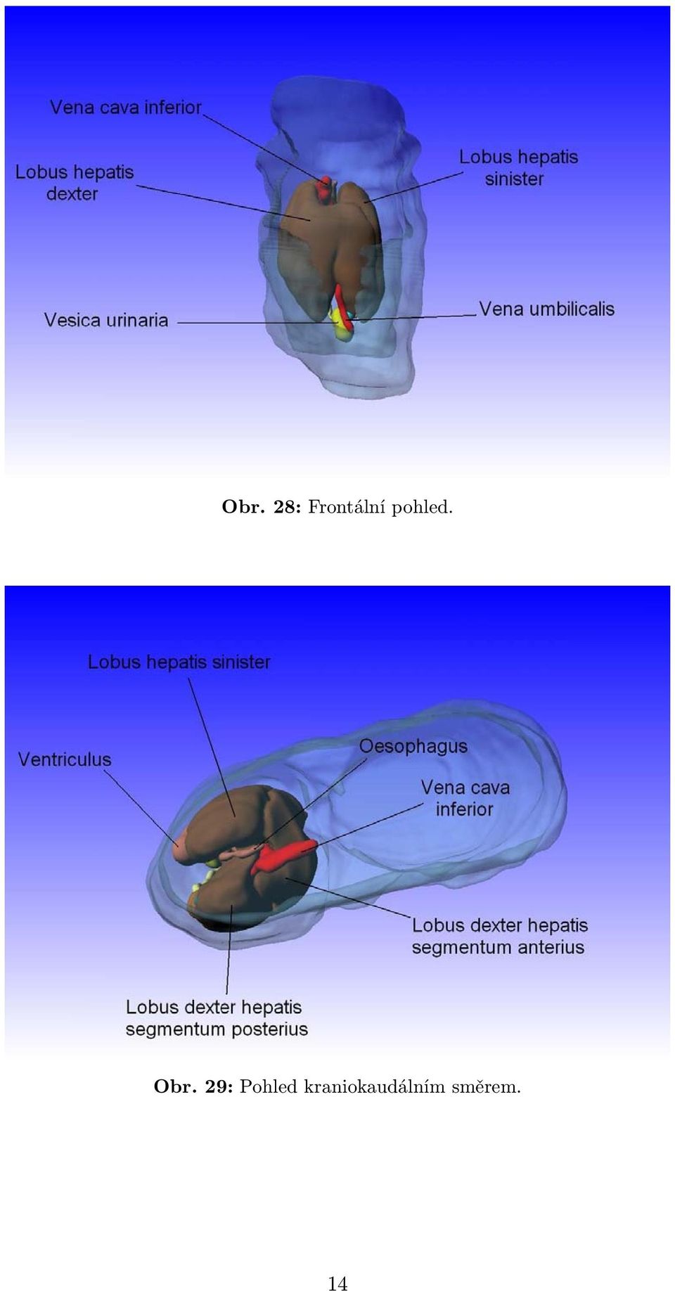 Obr. 29: Pohled