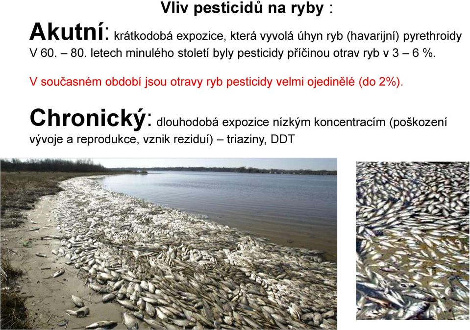 V současném období jsou otravy ryb pesticidy velmi ojedinělé (do 2%).