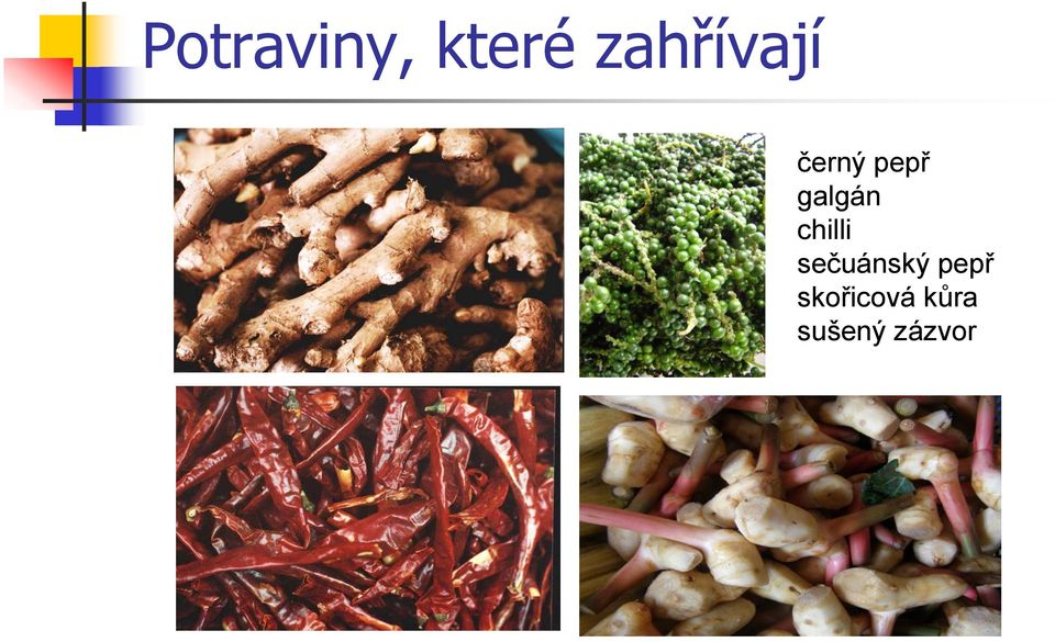 galgán chilli sečuánský