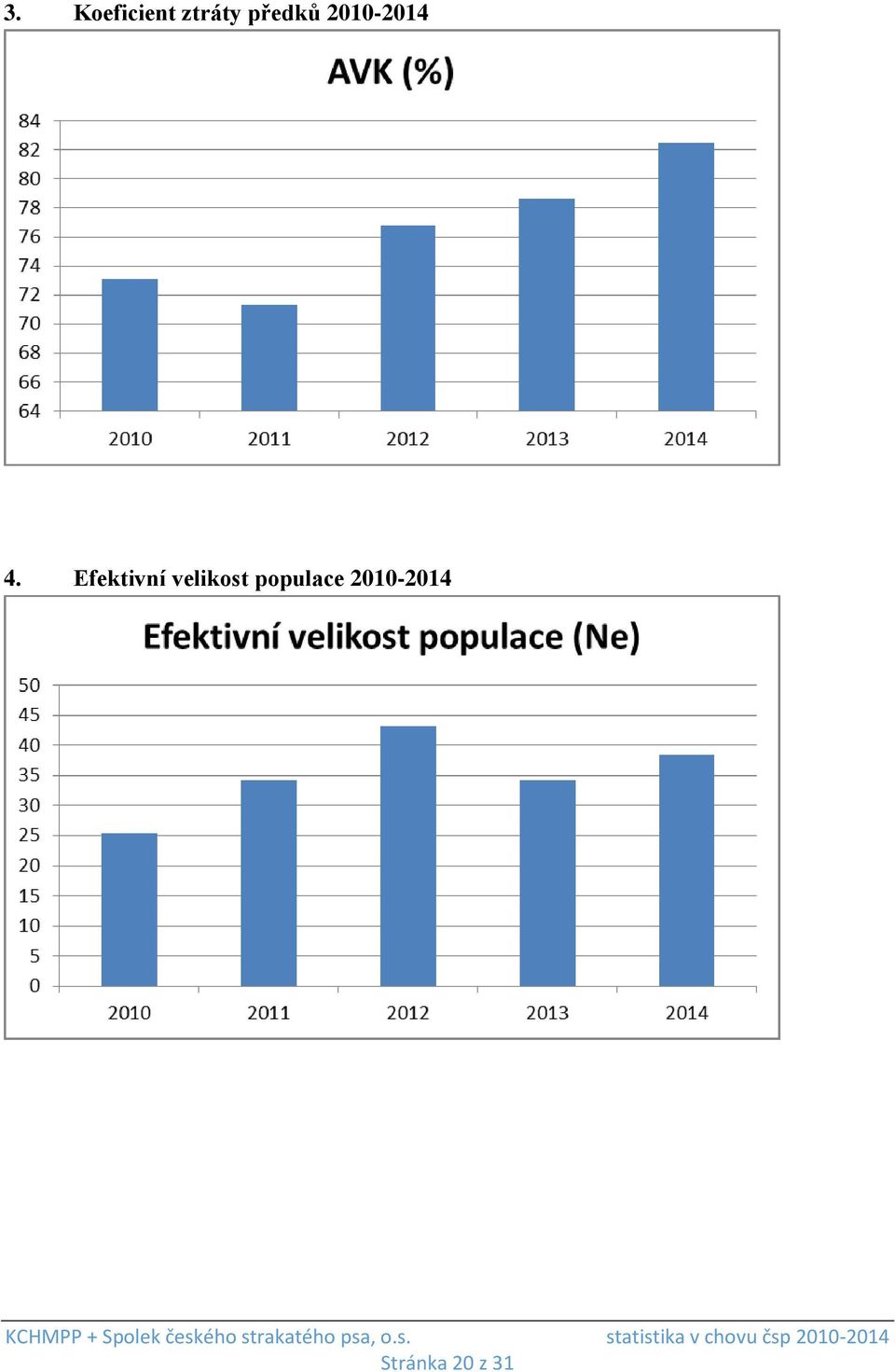 Efektivní velikost