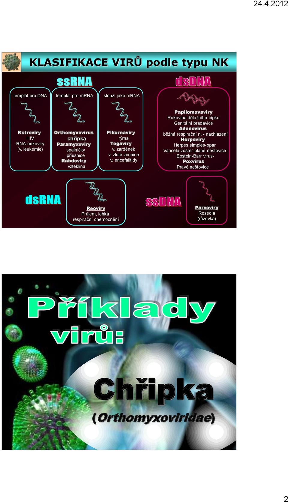 encefalitidy Papilomavaviry Rakovina děložního čípku Genitální bradavice Adenovirus běžná respirační n.