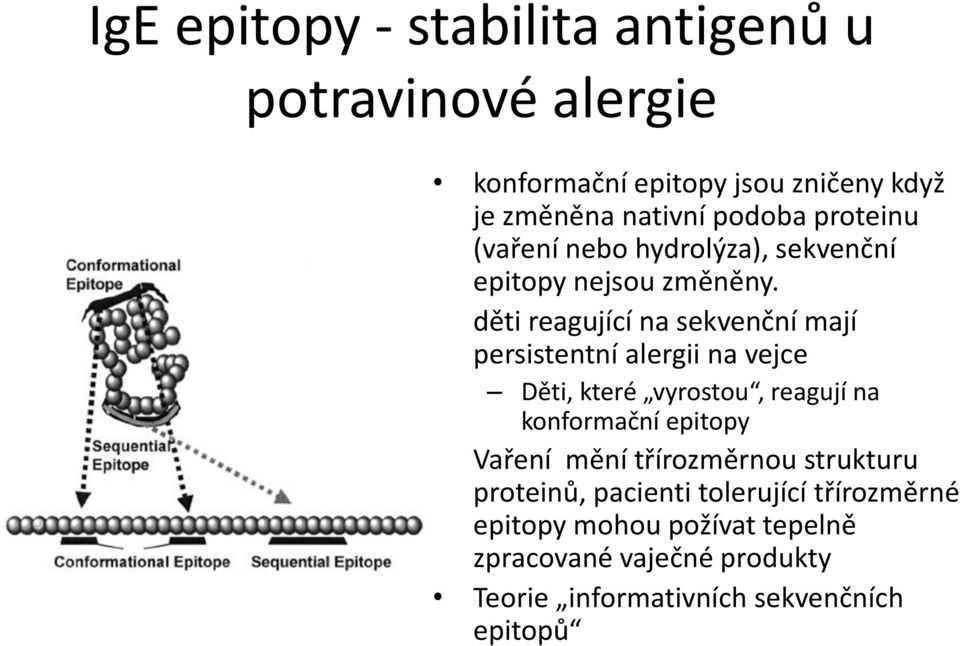 děti reagující na sekvenční mají persistentní alergii na vejce Děti, které vyrostou, reagují na konformační epitopy