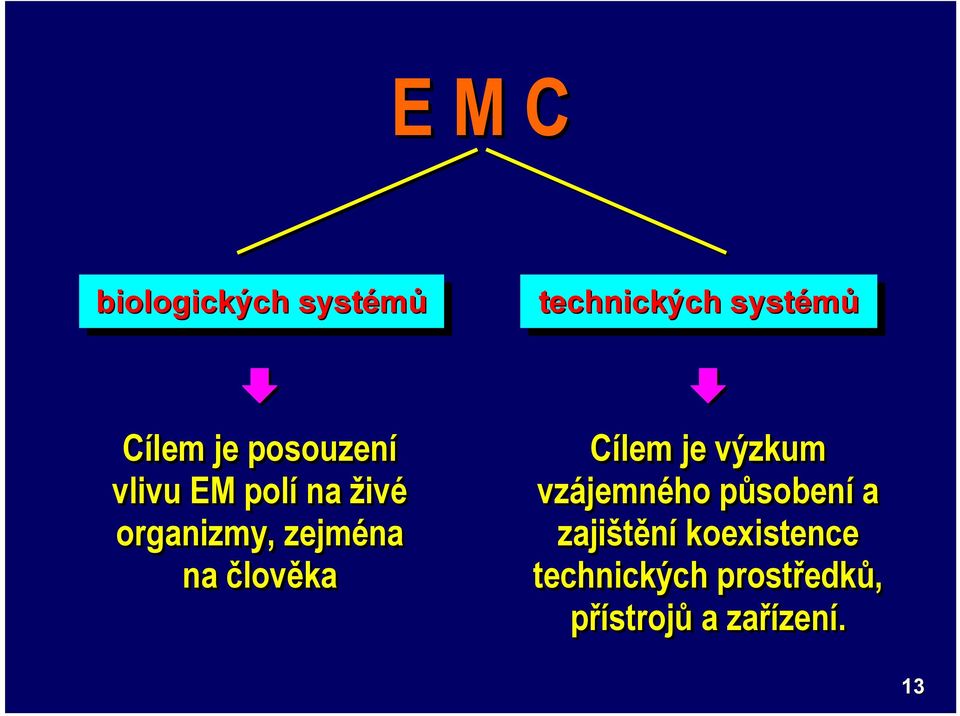 systémů Cílem je výzkum vzájemného působení a zajištění