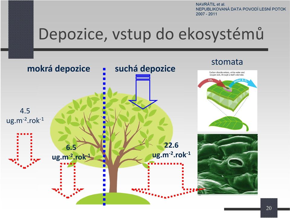 2007-2011 Depozice, vstup do ekosystémů mokrá