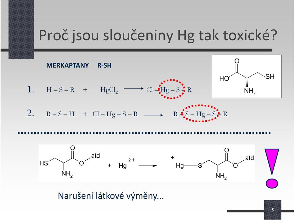 R S H + Cl Hg S R R S Hg S R O atd HS O + Hg