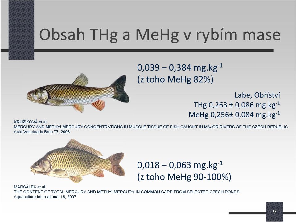 MERCURY AND METHYLMERCURY CONCENTRATIONS IN MUSCLE TISSUE OF FISH CAUGHT IN MAJOR RIVERS OF THE CZECH REPUBLIC Acta