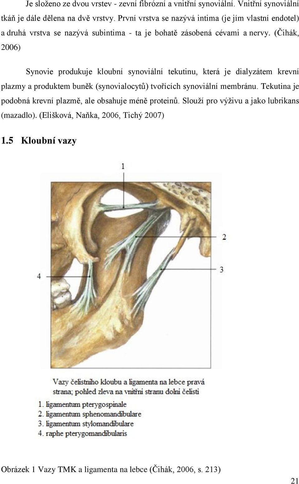 (Čihák, 2006) Synovie produkuje kloubní synoviální tekutinu, která je dialyzátem krevní plazmy a produktem buněk (synovialocytů) tvořících synoviální membránu.