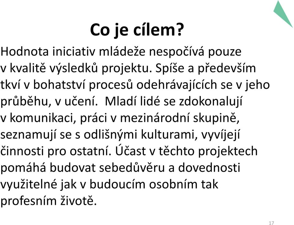 Mladí lidé se zdokonalují vkomunikaci, práci vmezinárodní skupině, seznamují se sodlišnými kulturami,