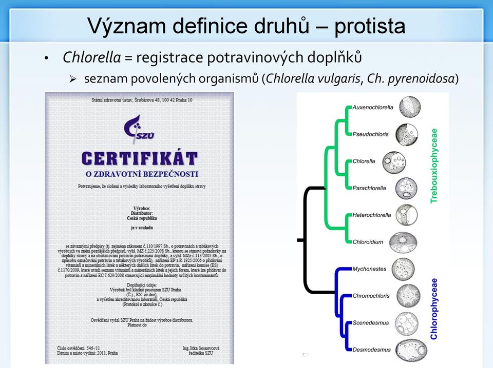 potravinových doplňků seznam