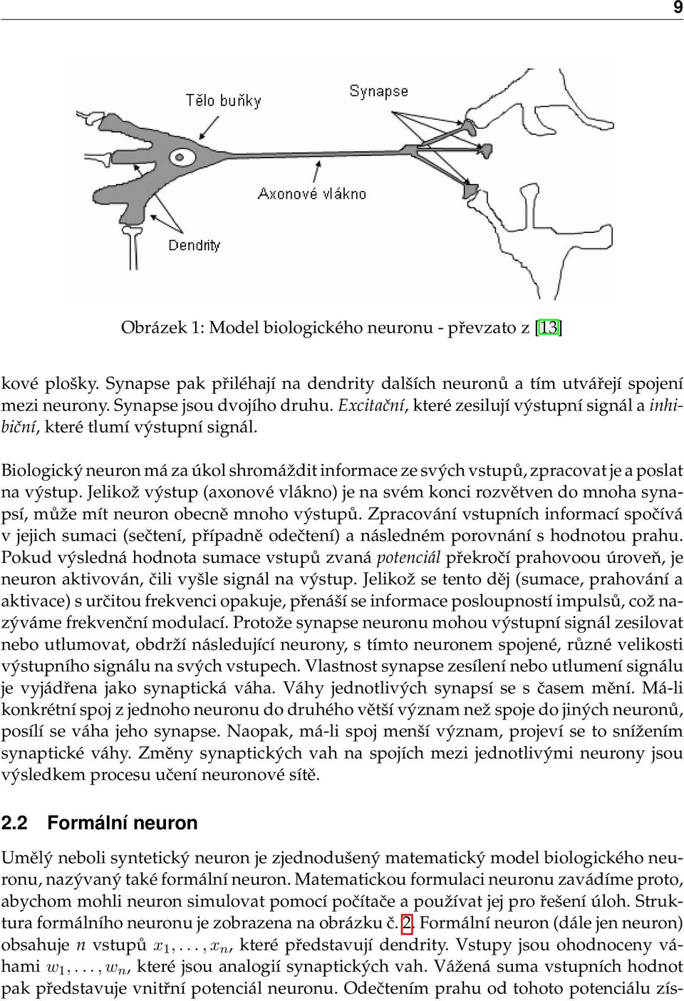 Jelikož výstup (axonové vlákno) je na svém konci rozvětven do mnoha synapsí, může mít neuron obecně mnoho výstupů.