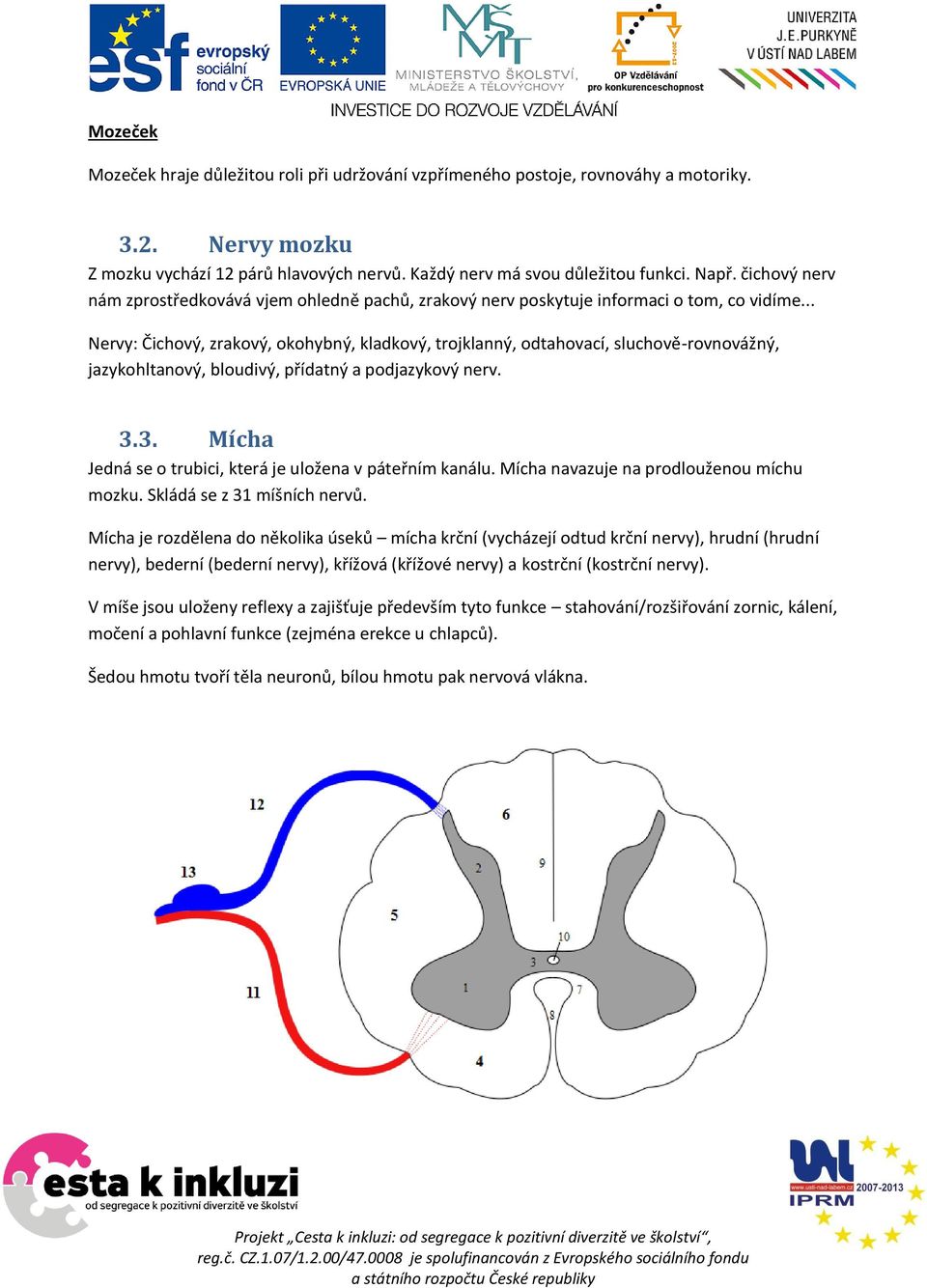 .. Nervy: Čichový, zrakový, okohybný, kladkový, trojklanný, odtahovací, sluchově-rovnovážný, jazykohltanový, bloudivý, přídatný a podjazykový nerv. 3.