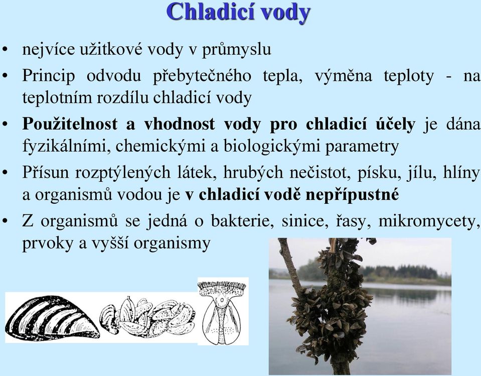 chemickými a biologickými parametry Přísun rozptýlených látek, hrubých nečistot, písku, jílu, hlíny a