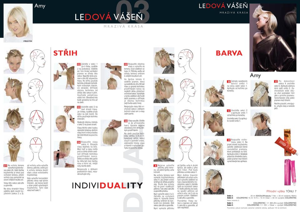 Na obou stranách hlavy oddělte další menší trojúhelník (sekce 2 a 3): od vrcholu ucha vytvořte šikmou pěšinku směřující k vrcholu temena (končí však u stran vrcholového trojúhelníka).