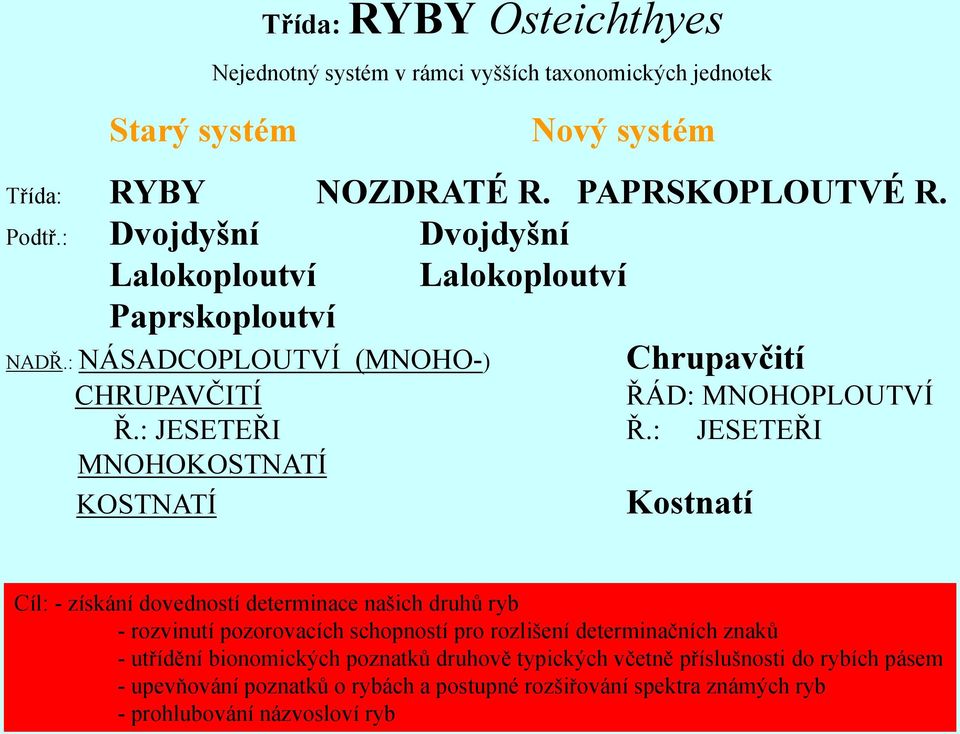 : JESETEŘI MNOHOKOSTNATÍ KOSTNATÍ Kostnatí ŘÁD: MNOHOPLOUTVÍ Cíl: - získání dovedností determinace našich druhů ryb - rozvinutí pozorovacích schopností pro rozlišení