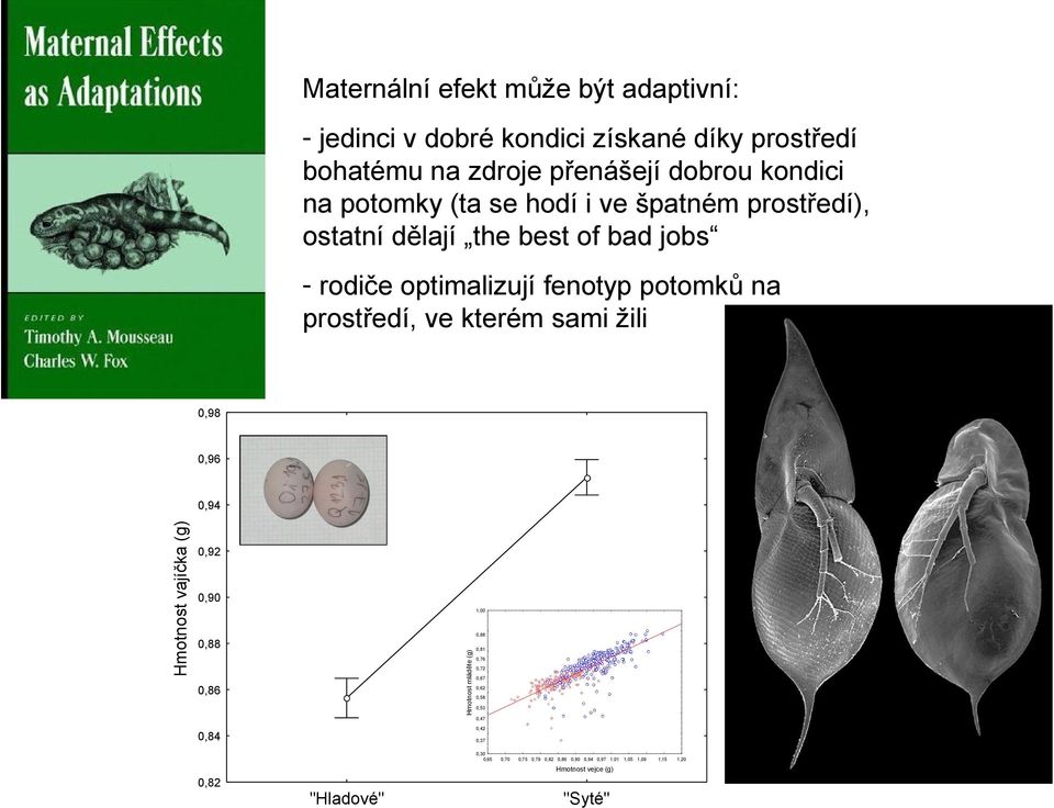 kterém sami žili 0,98 0,96 0,92 0,90 1,00 0,88 0,88 Hmotnost mláděte (g) Hmotnost vajíčka (g) 0,94 0,86 0,81 0,76 0,72 0,67 0,62 0,58