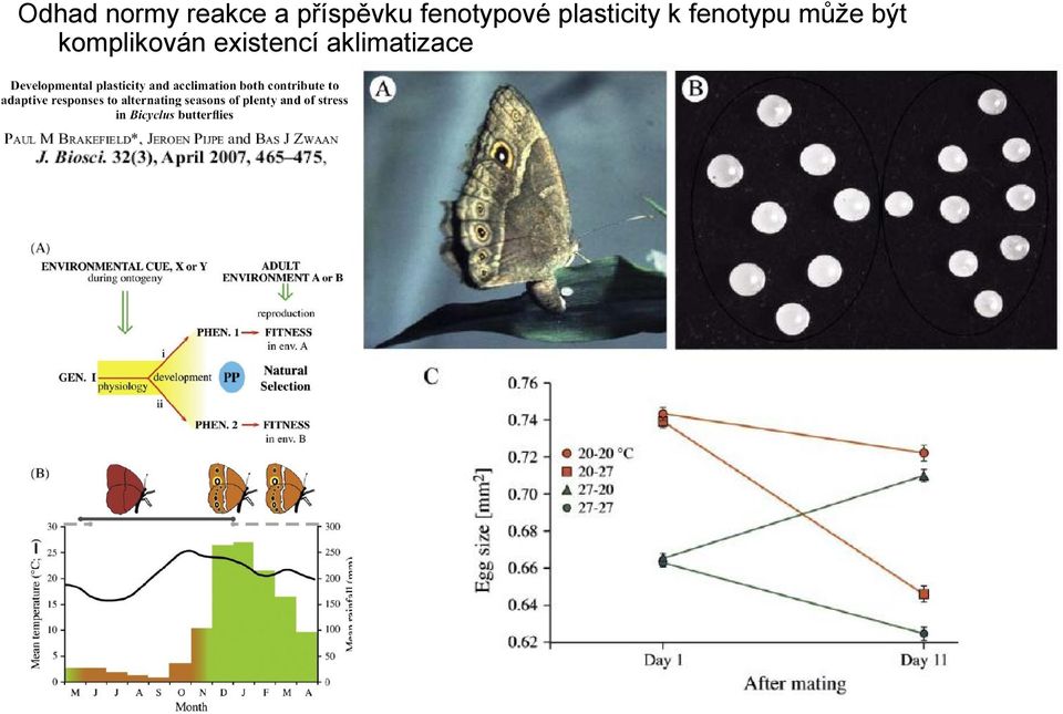 plasticity k fenotypu může