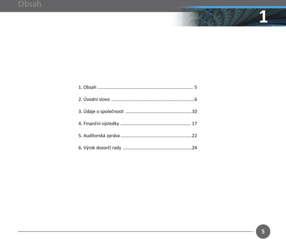 Finanční výsledky... 17 5.