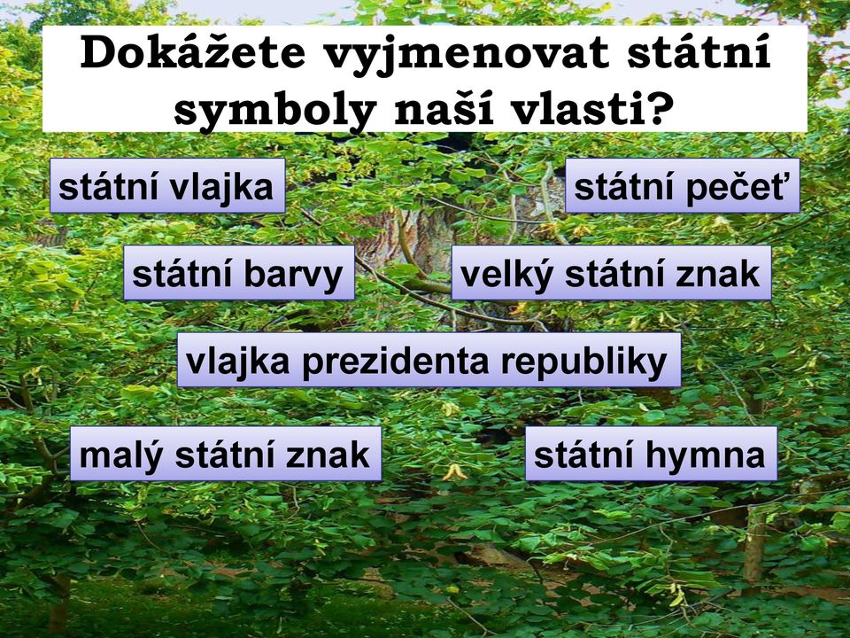 státní vlajka státní barvy státní pečeť