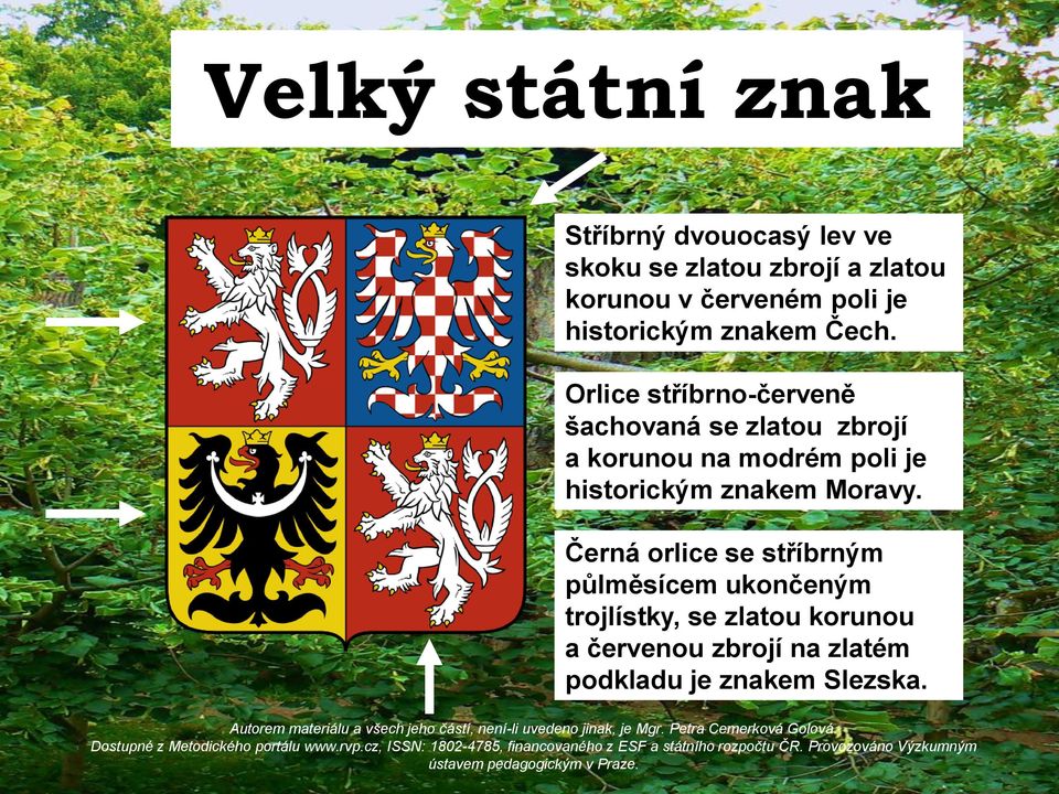 Orlice stříbrno-červeně šachovaná se zlatou zbrojí a korunou na modrém poli je historickým