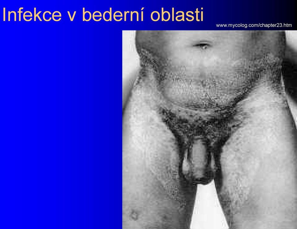 oblasti www.