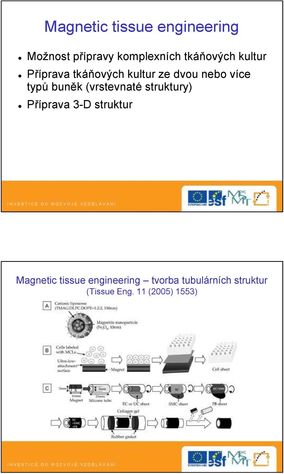 buněk (vrstevnaté struktury) Příprava 3-D struktur Magnetic